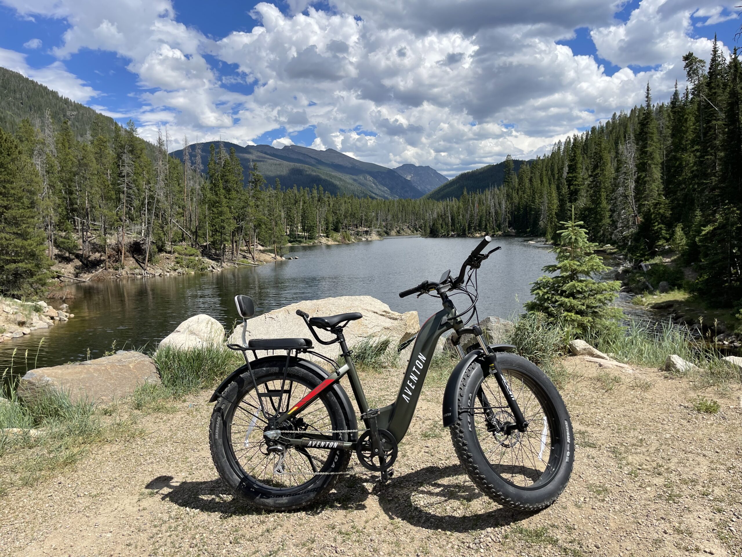 Read more about the article We Found the Perfect E-Bikes for Adventurous Families
