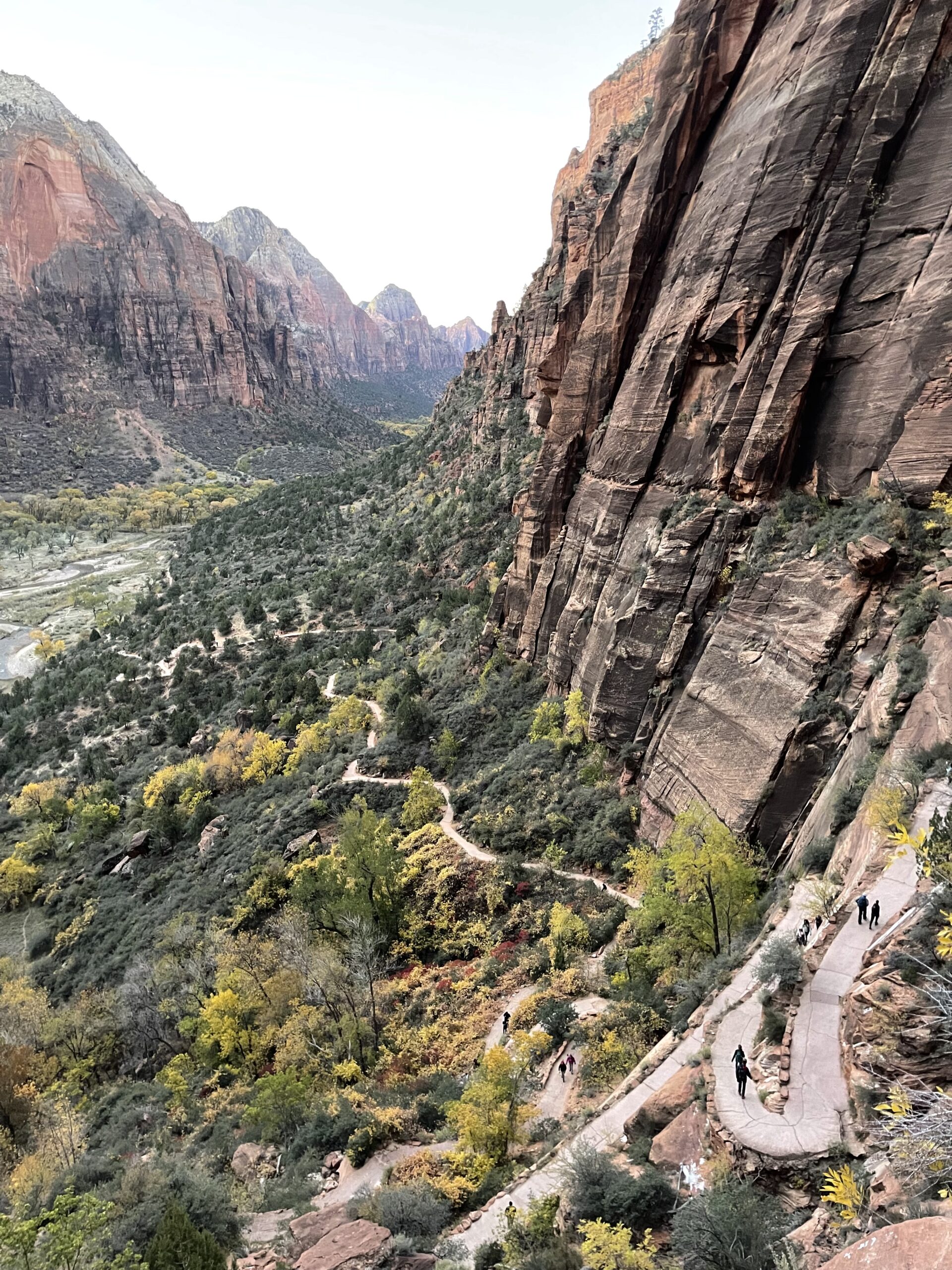 Read more about the article Best Hikes in Zion National Park for Families