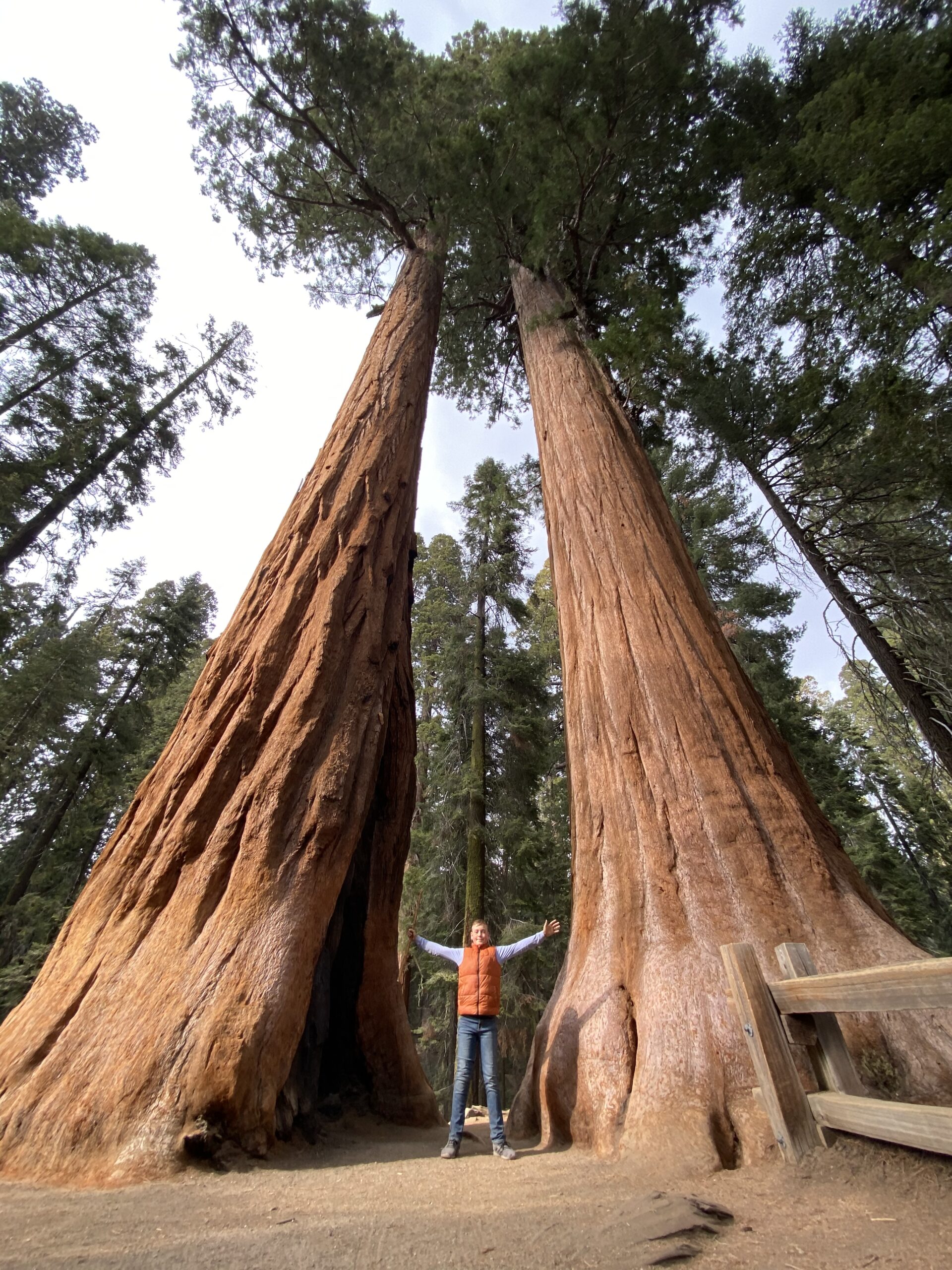 Read more about the article Plan Your Family Visit NOW to Sequoia and Kings Canyon National Parks